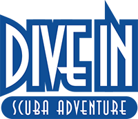 Dive In - Scuba Adventure