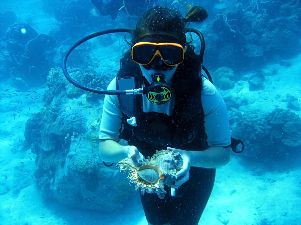SPECIALTY NATURALIST DIVER* – Include: 2 immersioni in mare