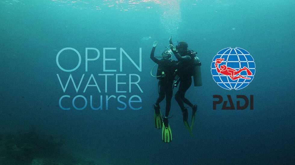 PADI OPEN WATER DIVER*