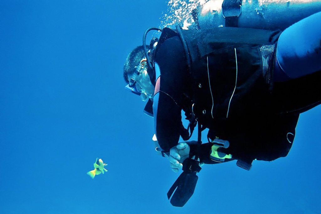 Private guide House Reef
